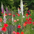 Parkimpressionen 2